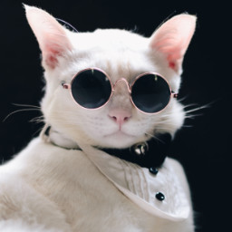 Disable Media Sizes icon