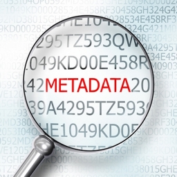 Display post meta, term meta, comment meta, and user meta icon