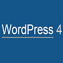 Display WordPress Version icon