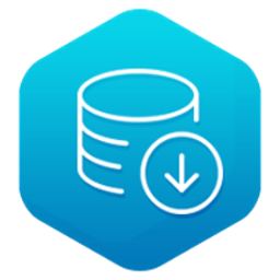 Download Manager icon