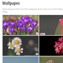downloadable gallery icon
