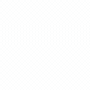 Duplicate Page Post – MCC icon