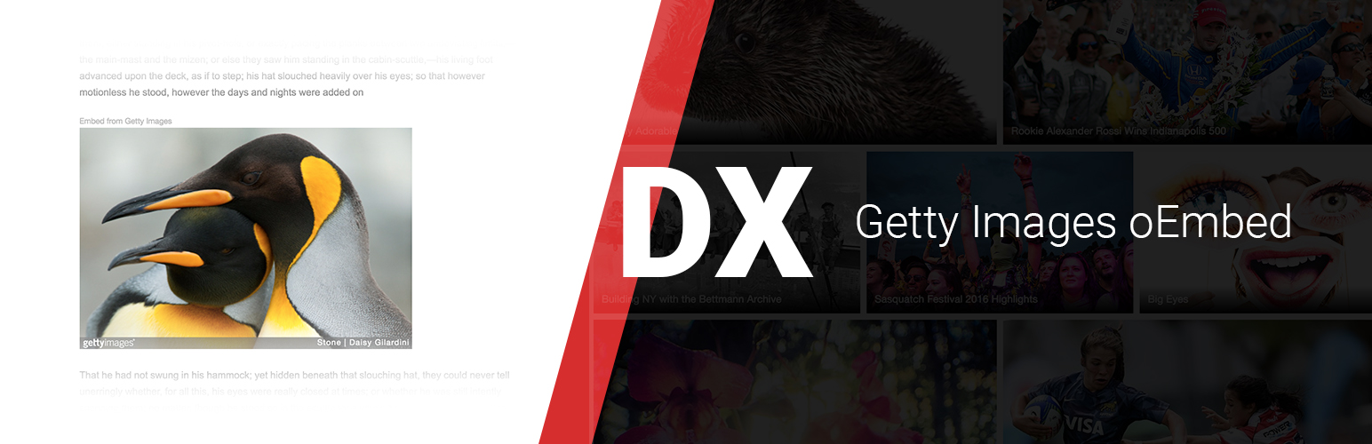 Plugin Banner