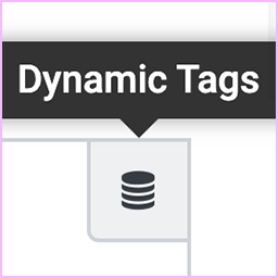 Dynamic WPJM Tags for Elementor icon