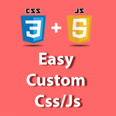 Easy Custom Css/Js icon