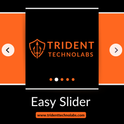 Easy Slider icon