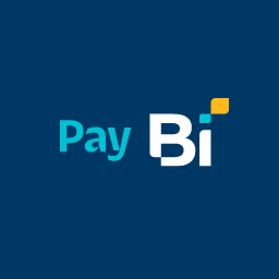 pay bi icon