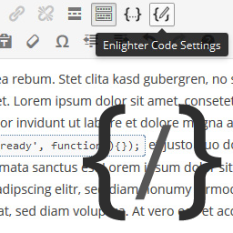 Enlighter – Customizable Syntax Highlighter icon