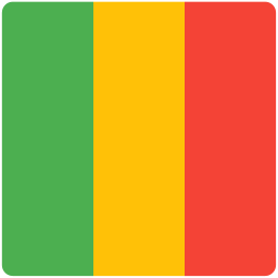 Environment Info icon