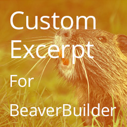 Excerpt Editor for Beaver Builder icon