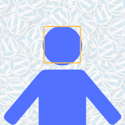 Face Detection icon