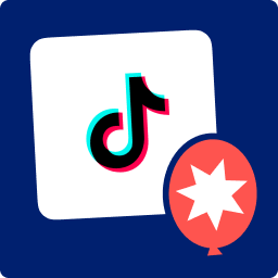 Feeds for TikTok (TikTok feed, video, and gallery plugin) icon