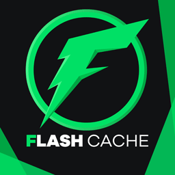 Flash Cache icon