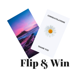 Filp & Win icon
