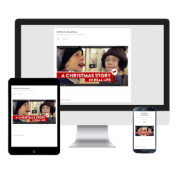 Fluidvids for WordPress icon