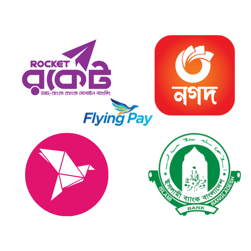 Flying Pay icon