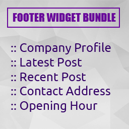 Footer widget bundle icon