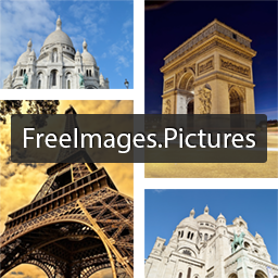 Free images pictures icon