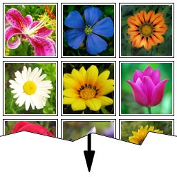 Gallery Slice icon