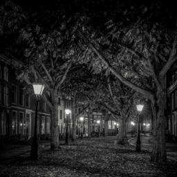 Genesis Accessible icon