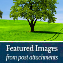 Get First Image Set As Featured Image icon