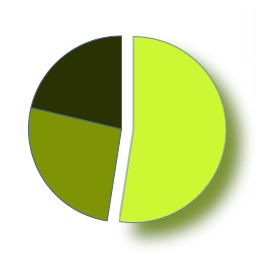 Goo Pie Chart icon