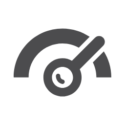Insights from Google PageSpeed icon