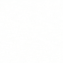 GSheetConnector For Formidable Forms icon