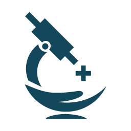 HealthBeam – Advanced WordPress Diagnostics, Monitoring & Site Health Tools icon
