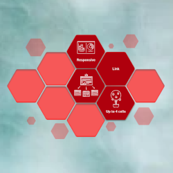 Hexagon Navigation Lite icon