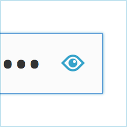 hideShowPassword icon