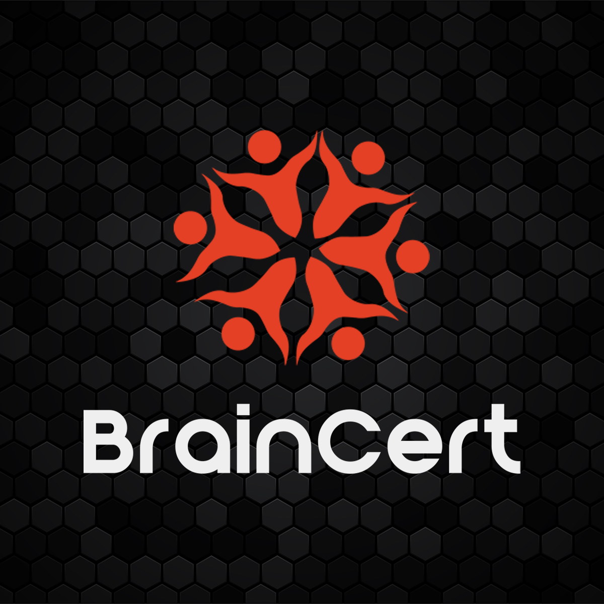 BrainCert Virtual Classroom icon