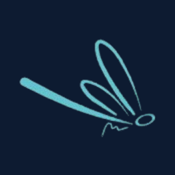 iFlySEO icon