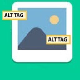 Image ALT Fixer icon