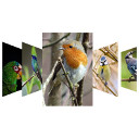 Image Flow Gallery Block icon