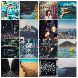 Image grid with hover effects icon