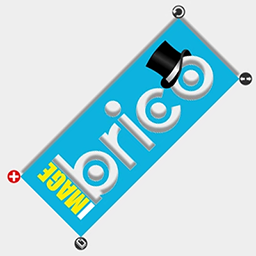 iMage Brico icon