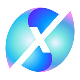 IN4X Crypto Payment icon