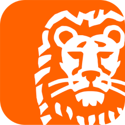 ING Księgowość icon