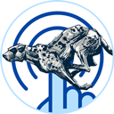 InstantClick icon