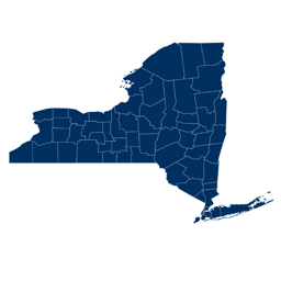 Interactive Map of New York icon