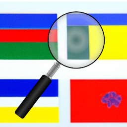 Ipgp User Country Flag icon