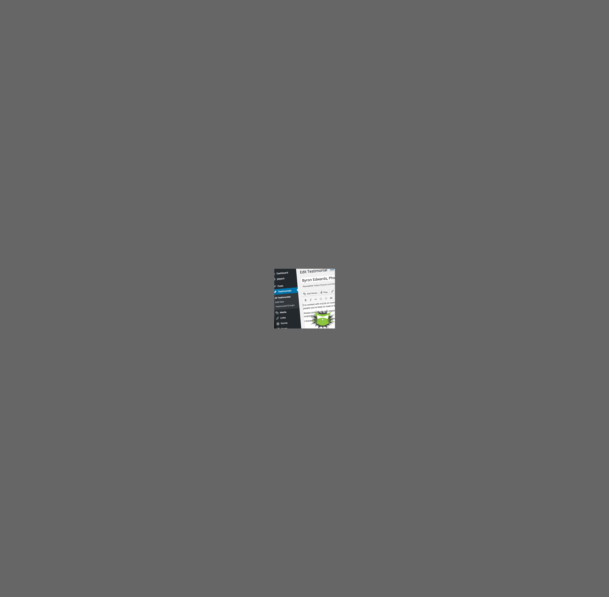 IvyCat AJAX Testimonials icon