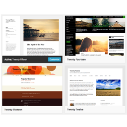 Multiple Themes icon