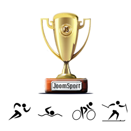Achievements sports league icon