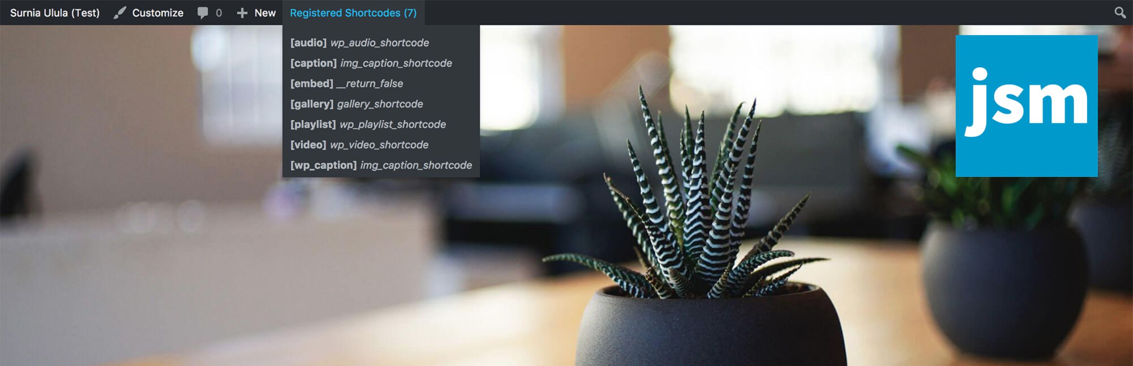 Plugin Banner