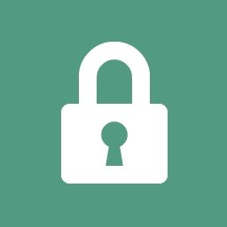 WP REST API Force SSL icon