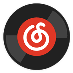 Official Player Of Netease Music icon