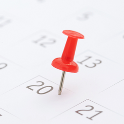 Last Updated DateTime in Posts icon