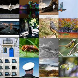 Le Bang gallery icon